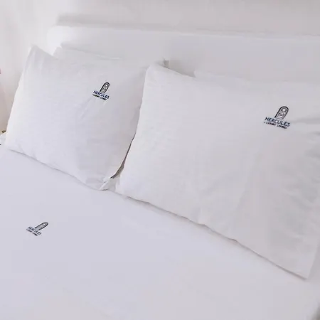 Hercules Luxury Living 公寓式酒店 纳乌萨