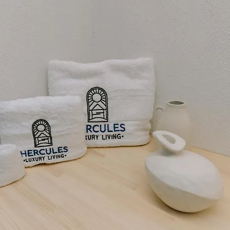 公寓式酒店 Hercules Luxury Living