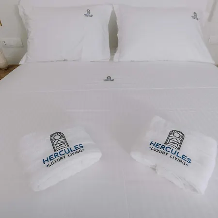 公寓式酒店 Hercules Luxury Living 纳乌萨