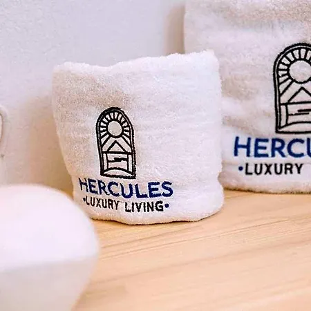 Hercules Luxury Living Ξενοδοχείο με διαμερίσματα Νάουσα